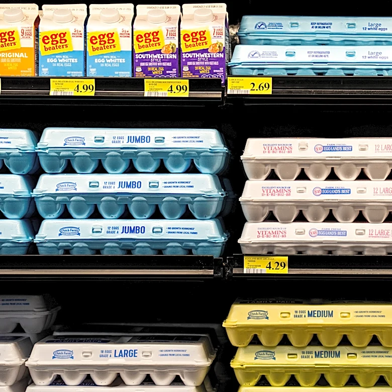 Paxton egg settlement delivers 1.7M eggs to 17 Texas food banks: List
