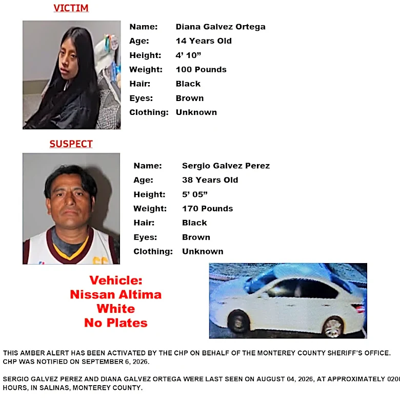 Amber Alert issued for teen after newborn baby found dead along road