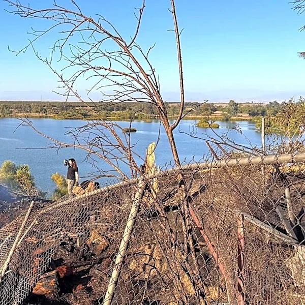 6 dead, including children, in separate plane crashes in California