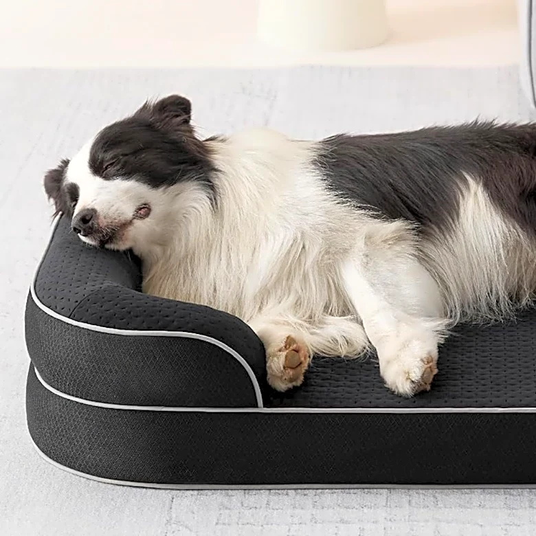 My dog is obsessed with this orthopedic bed and it's 50% off at Amazon