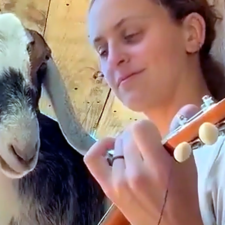 Walter the goat enjoys a private concert from Keeper Jess