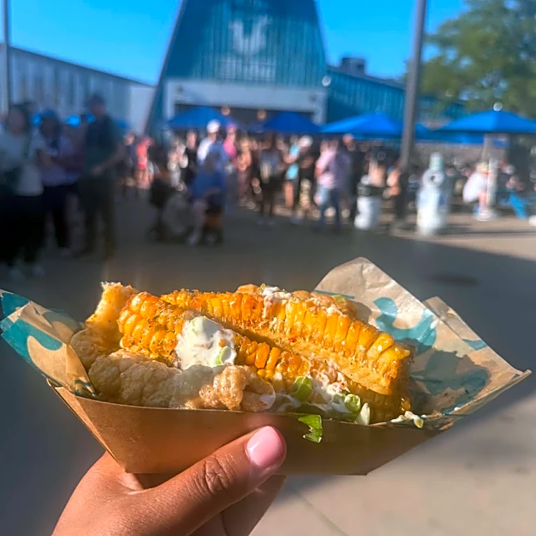I visited the Minnesota State Fair. Here's my take on the food