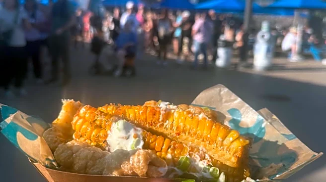 I visited the Minnesota State Fair. Here's my take on the food