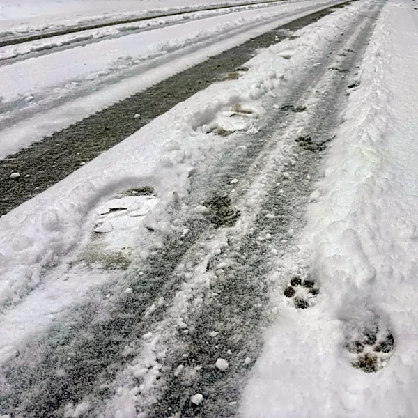 Could Atlanta get snow this year? See Farmers' Almanac predictions