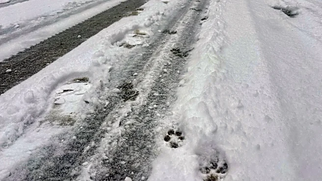 Could Atlanta get snow this year? See Farmers' Almanac predictions