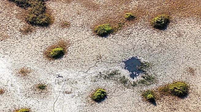 South Florida saw 'unusually' dry summer, broke 100-year-old heat records