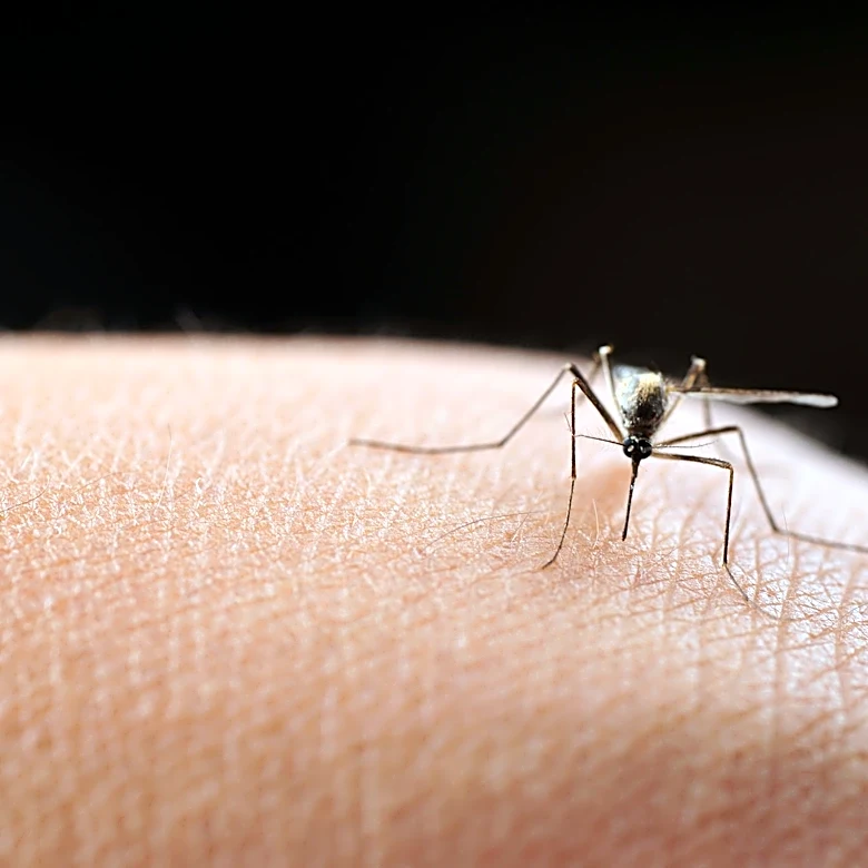Mosquito-borne illnesses increasing in US. See map of affected states