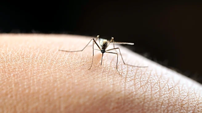 Mosquito-borne illnesses increasing in US. See map of affected states