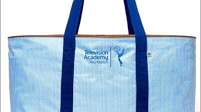 What's inside the 2026 Emmys gift bag? We found out – and it's worth $14K