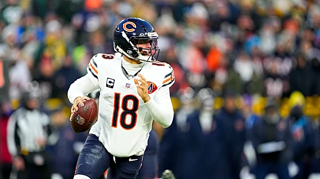 Bears at Panthers: Predictions, picks and odds for NFL Week 1 game