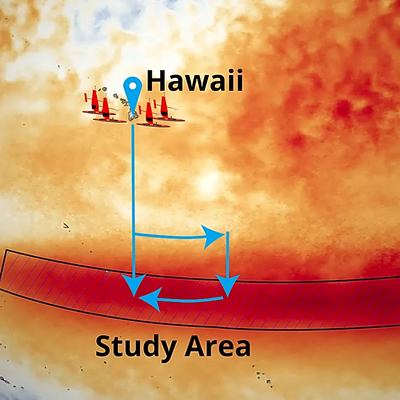An unprecedented El Niño sends scientists scrambling for answers