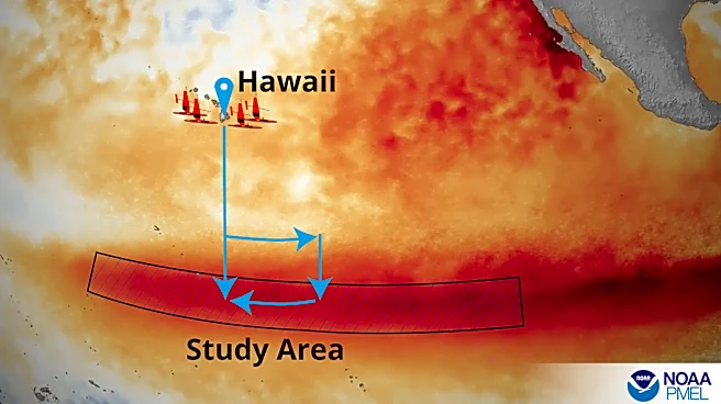 An unprecedented El Niño sends scientists scrambling for answers
