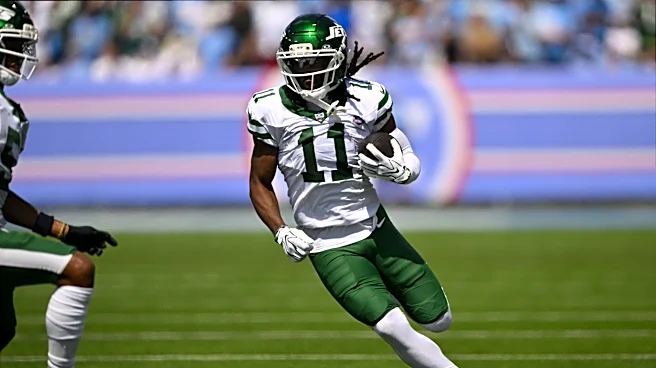 Omar Cooper Jr. posts 30 yards before injury