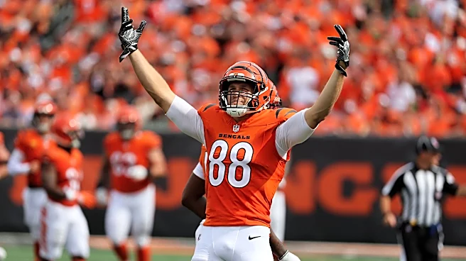 Mike Gesicki finds end zone in Week 1