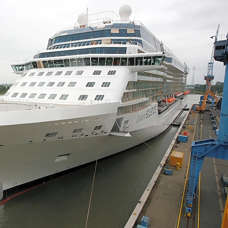 Passenger medically evacuated from cruise by Canadian Armed Forces