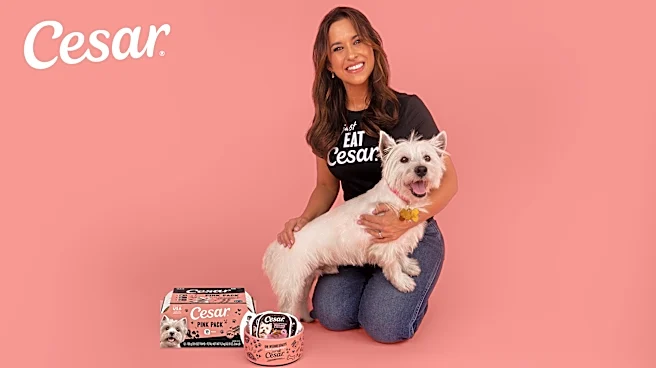 Lacey Chabert is still trying to make fetch happen. This time, it's for dogs.