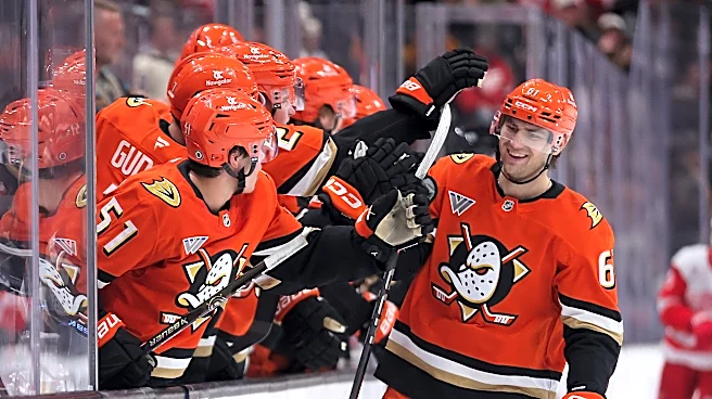 Cutter Gauthier signs six-year, $81 million contract with Anaheim Ducks