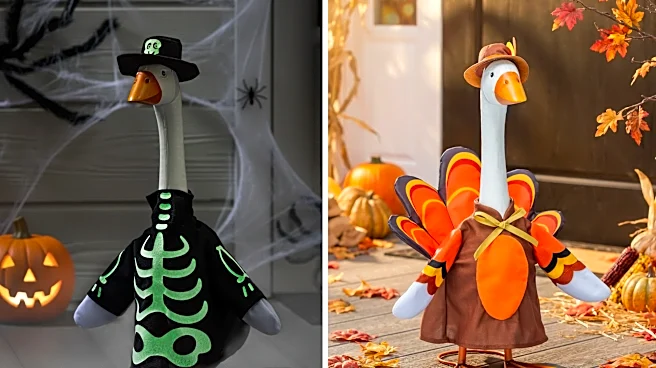 Give your porch goose a spooky season makeover with these fall outfits
