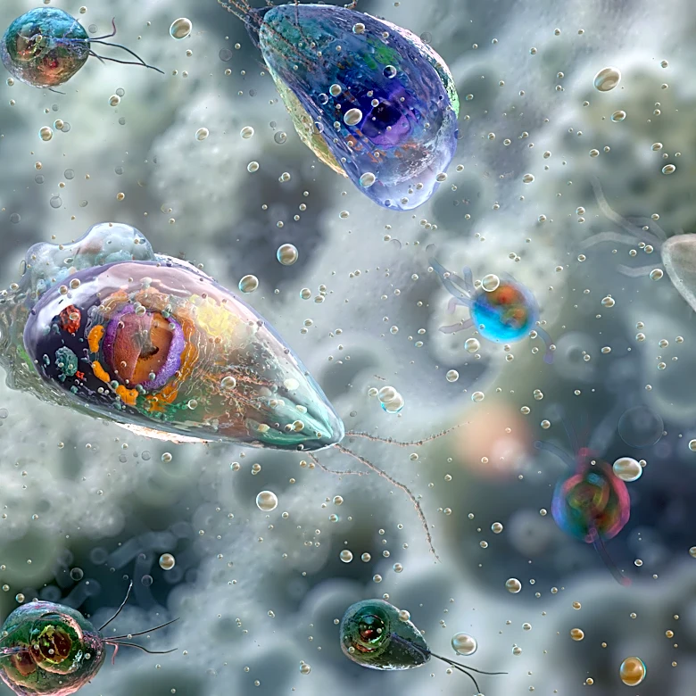 Teen's brain-eating amoeba infection likely linked to water feature