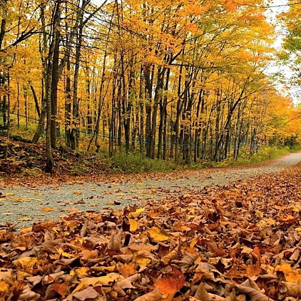 Get ready for fall weather. Here's when the equinox begins