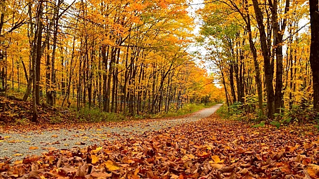 Get ready for fall weather. Here's when the equinox begins