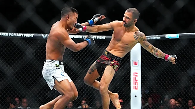 Alexandre Pantoja is the underdog worth backing at UFC 331