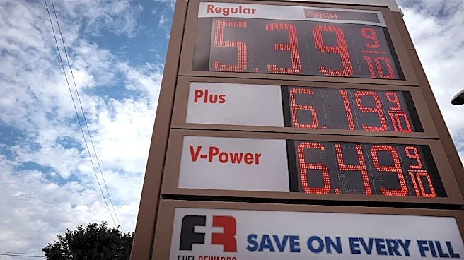 Trump says rising gas prices are 'small price to pay' for Iran war