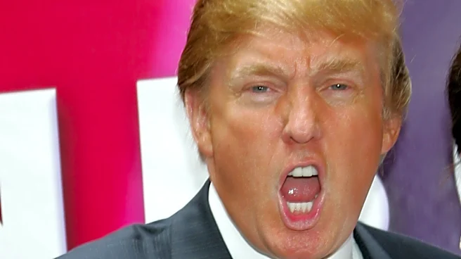 Trump admin's 'Apprentice'-like competition is coming. What to know