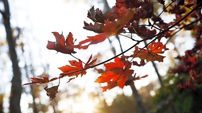 Where are the best spots to see fall colors near Atlanta? See our list