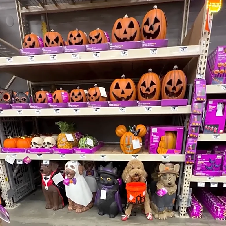 Can you spot the dog? This Halloween trend has pups 'hiding' in stores