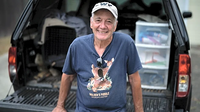 The fox whisperer? Meet the man saving Nashville’s sick foxes