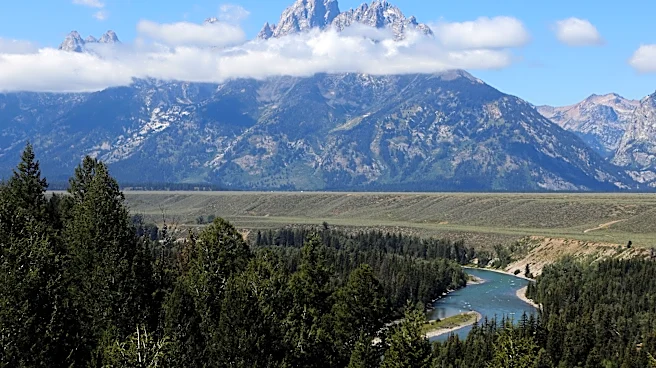 Grand Teton bear killed after visitors fed, approached it