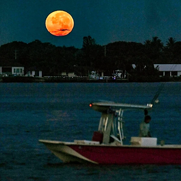 It's almost time to look up for September's Harvest Moon