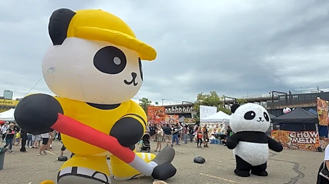 Sights and sounds from Panda Fest 2026