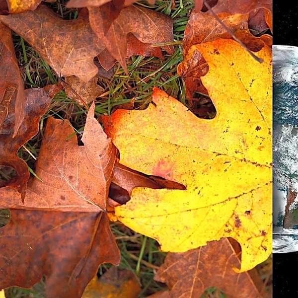The fall equinox is coming. Dates, temperature changes