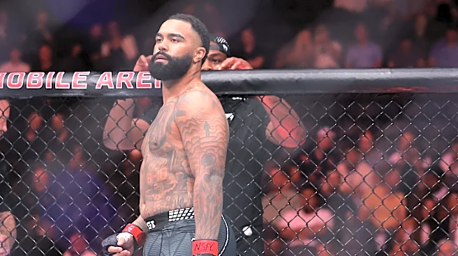 Gable Steveson skewered by UFC legend Daniel Cormier after KO loss