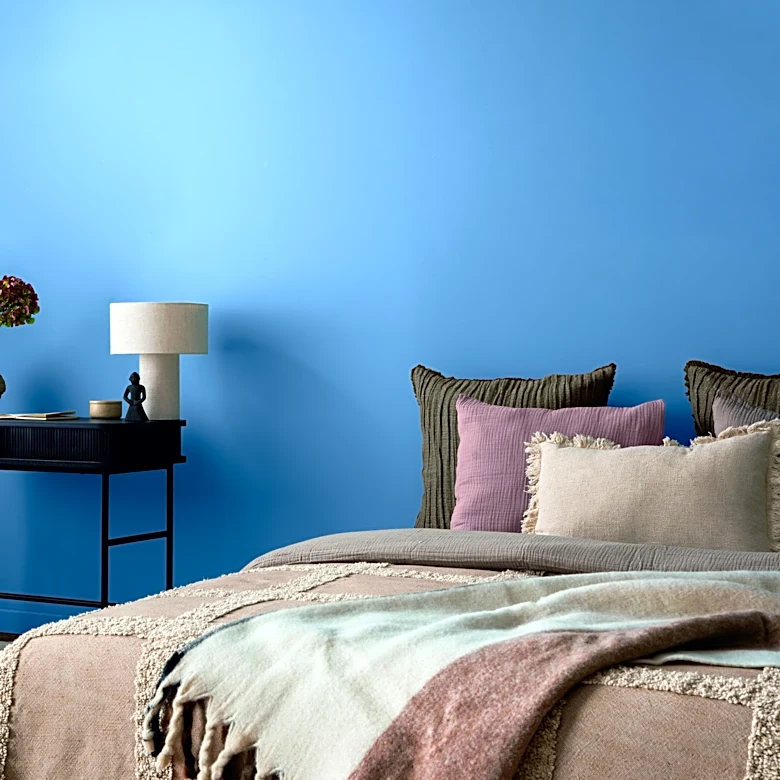 Ace Hardware's 2027 Color of the Year is a timeless, stunning blue