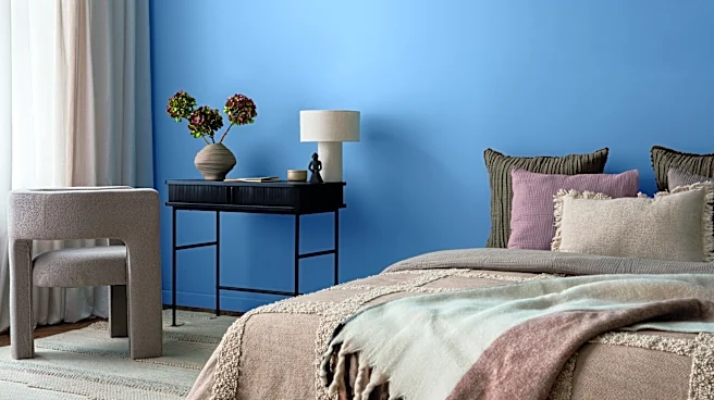 Ace Hardware's 2027 Color of the Year is a timeless, stunning blue