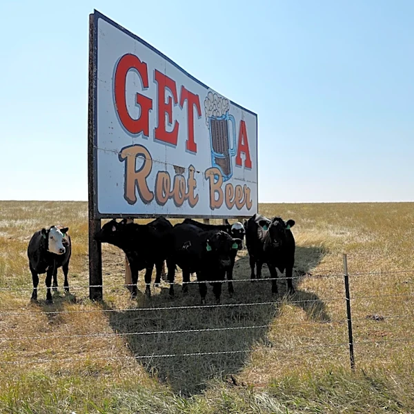 Why grocery prices could rise after a summer of extreme weather