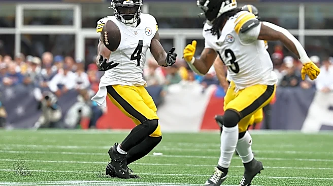 Steelers aren't getting WR1 production from DK Metcalf – and haven't for a while