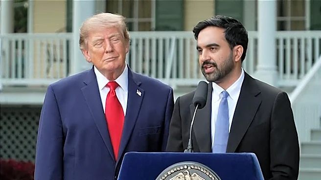 Mamdani is the only Democrat who can handle Trump | Opinion