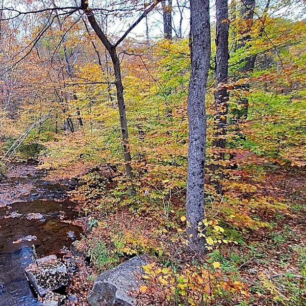 Goodbye summer. Today the fall equinox begins