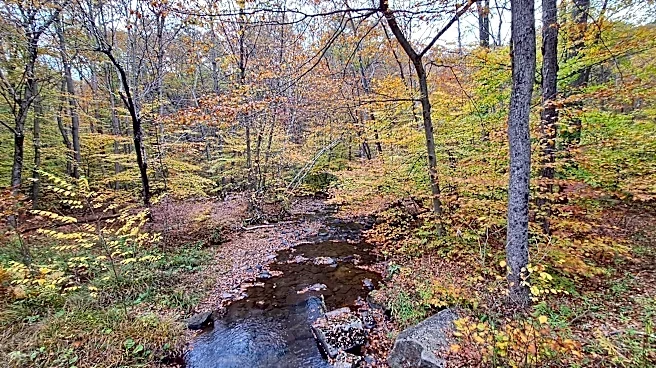 Goodbye summer. Today the fall equinox begins
