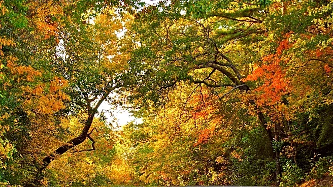 Fall is here in Washington DC. What to expect from the weather