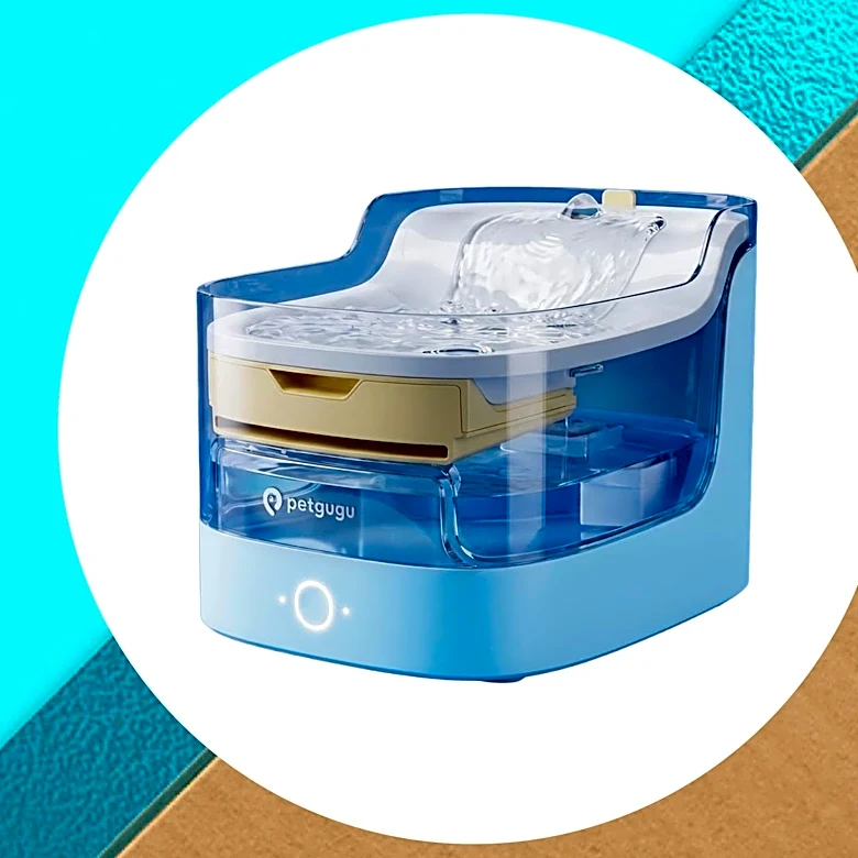 This quiet pet water fountain deal tracks your pet's water intake