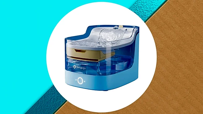 This quiet pet water fountain deal tracks your pet's water intake