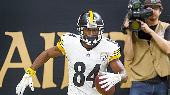 Antonio Brown to accept plea deal, avoid prison in attempted murder case