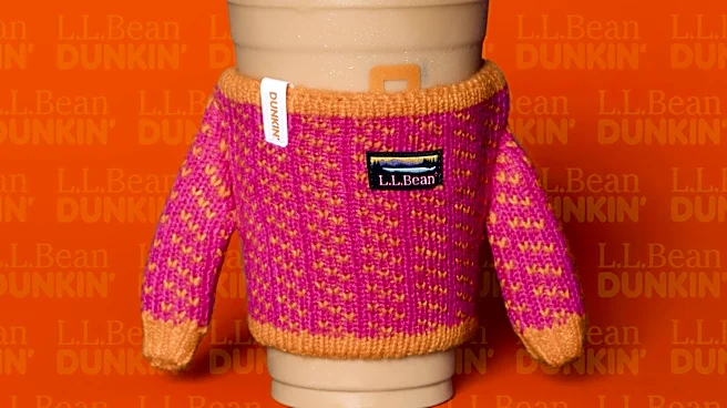 Internet in a frenzy over new Dunkin', L.L. Bean coffee sweater