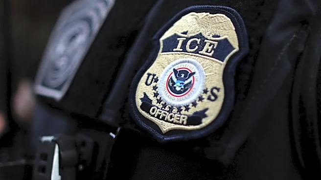 Man who died in Michigan crash after ICE stop wasn't officers' target
