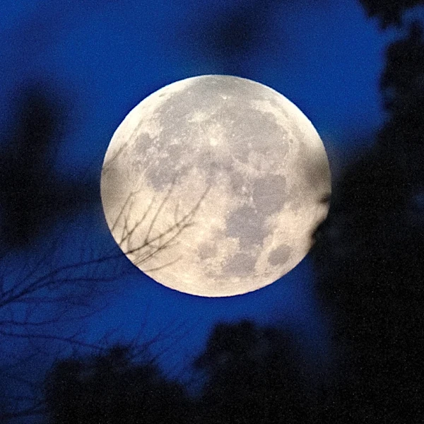 Fall is looking up. Harvest Moon is set to peak today